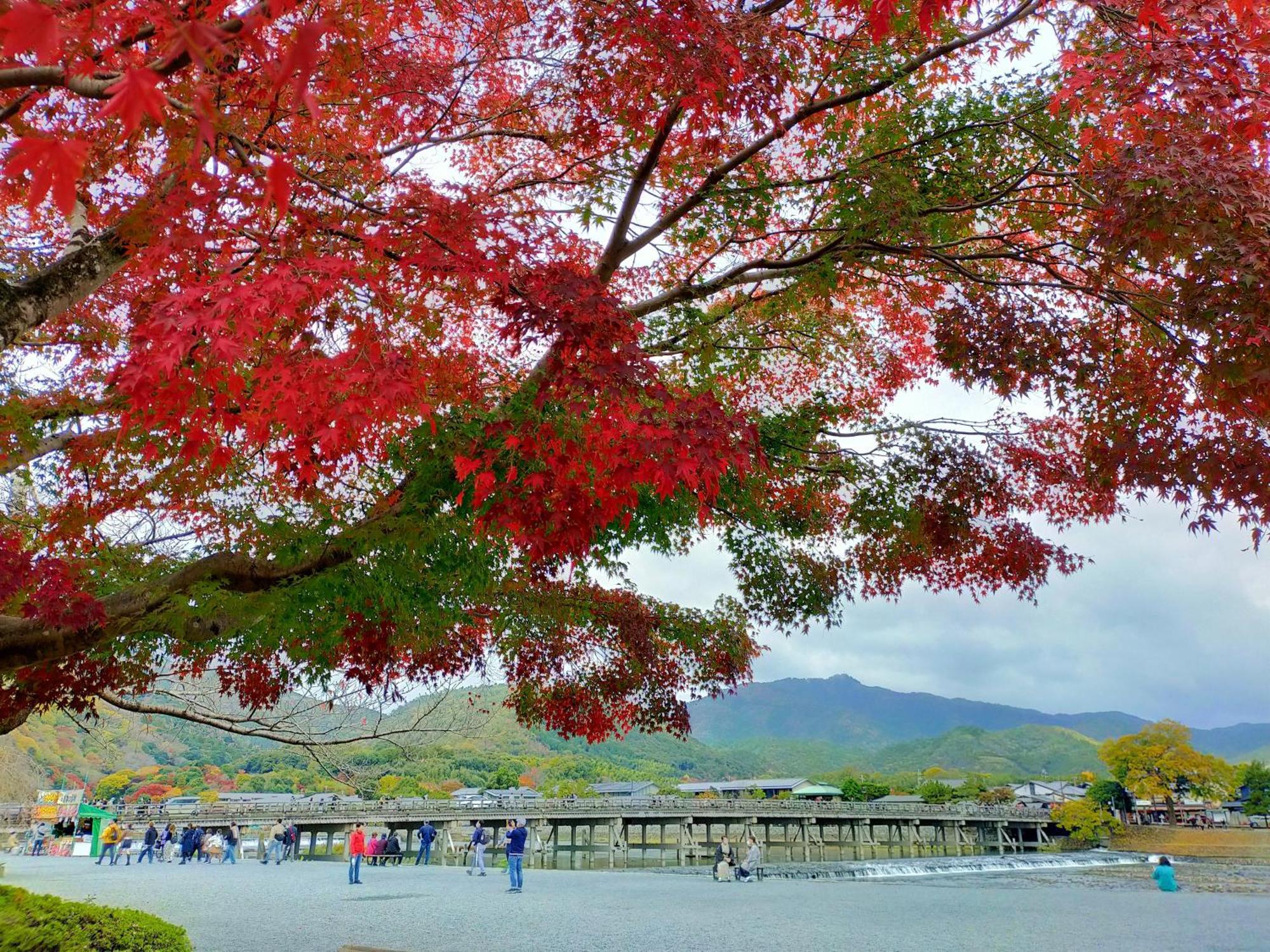 Kadensho, Arashiyama Onsen, Kyoto - Kyoritsu Resort Luaran gambar